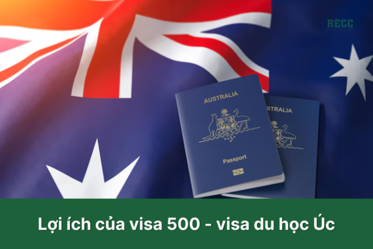 Visa 500_1