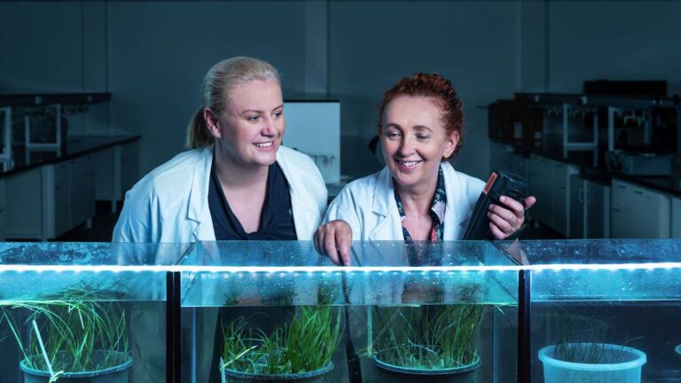 Central Queensland University 4