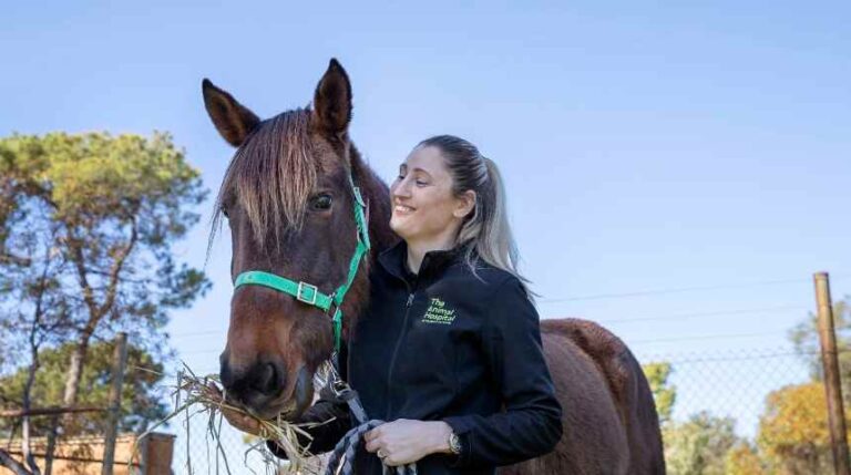 du học ngành Thú y tại Úc 4