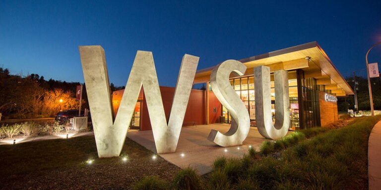 Washington State University 2