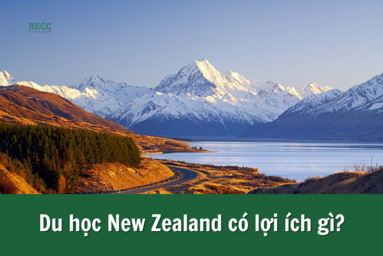 công ty tư vấn du học New Zealand 1