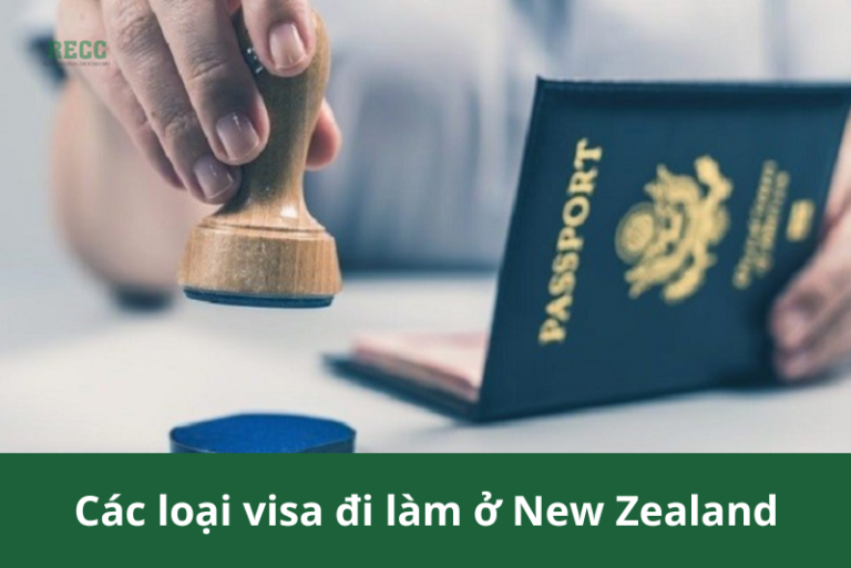 Đi làm ở New Zealand 2