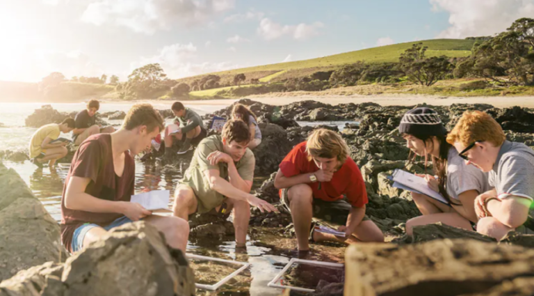 hệ thống giáo dục New Zealand 2