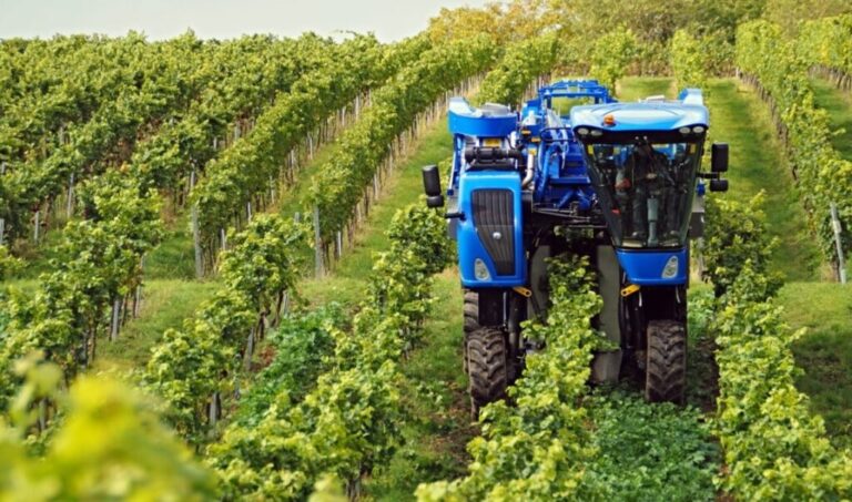 ngành học ở newzealand 3 6