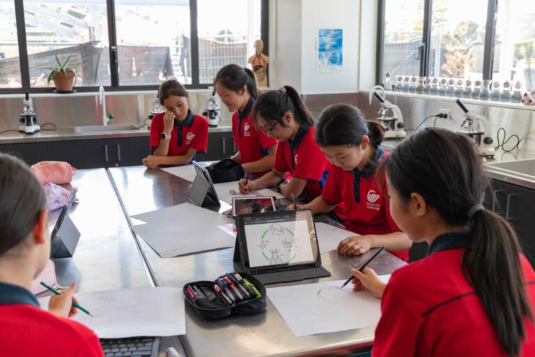 Wairarapa Cobham Intermediate School 3