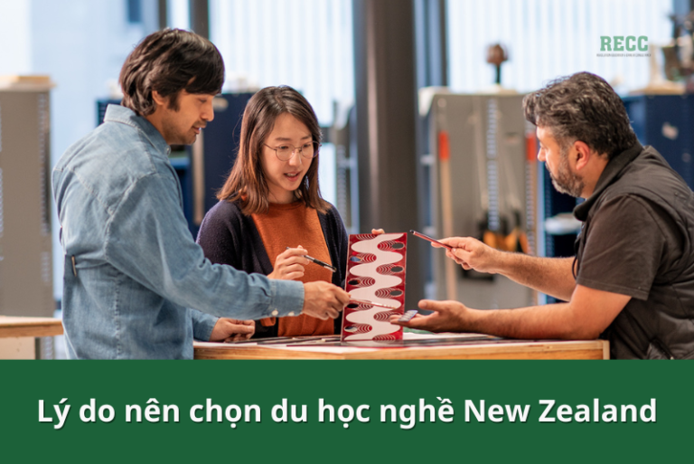 Chi phí du học nghề tại New Zealand 2