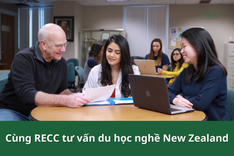 Chi phí du học nghề tại New Zealand 4