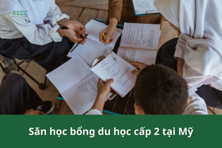 săn học bổng du học Mỹ cấp 2 5