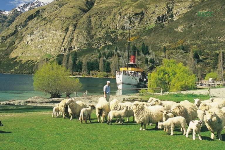 Du học phổ thông tại New Zealand_2