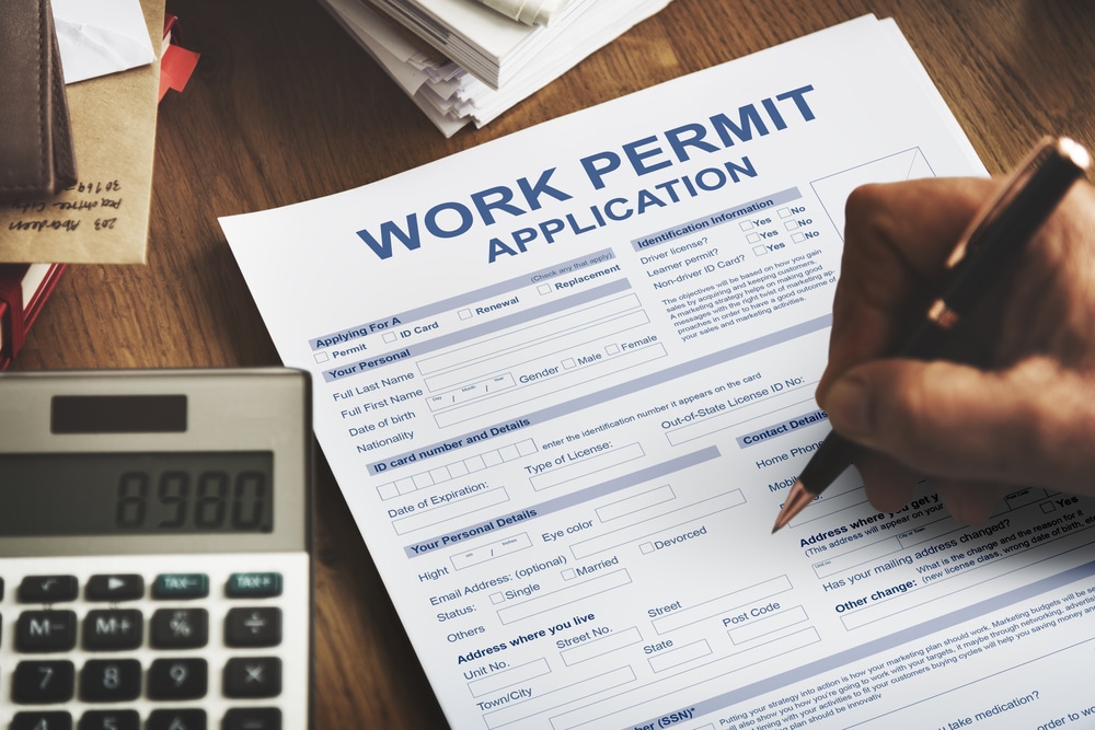 Open Work Permit – OWP 2