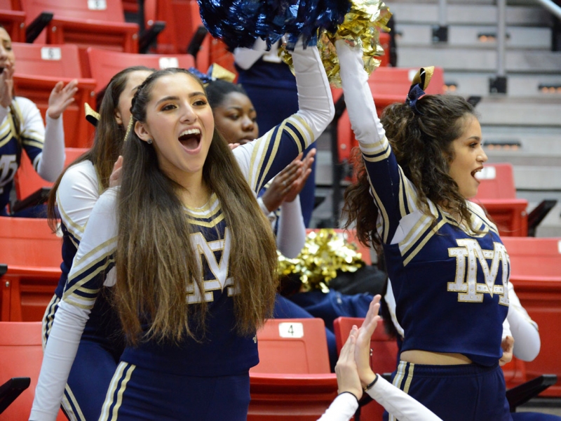 Mater Dei Catholic High School