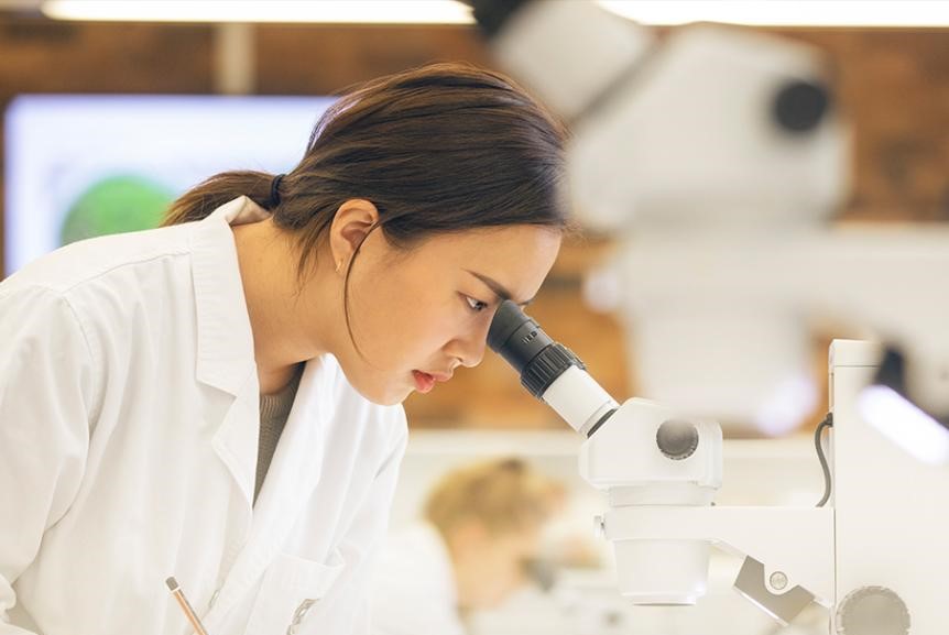 đại học Queensland Úc 4