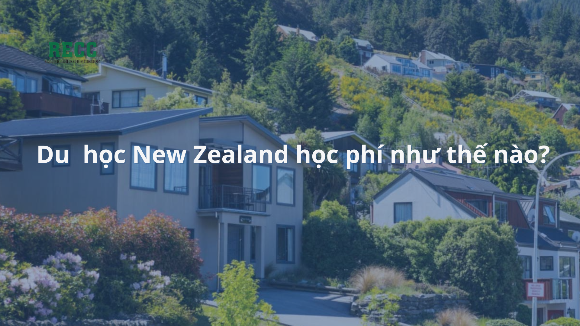 học phí du học new zealand 1
