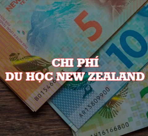 Du học New Zealand chi phí năm học 2024 - 2025 1