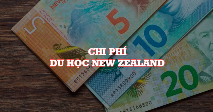 Du học New Zealand chi phí năm học 2024 - 2025 1