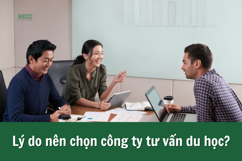 công ty tư vấn du học New Zealand 2