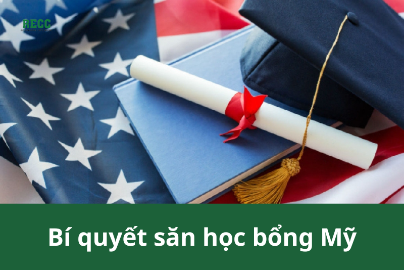 săn học bổng Mỹ 1