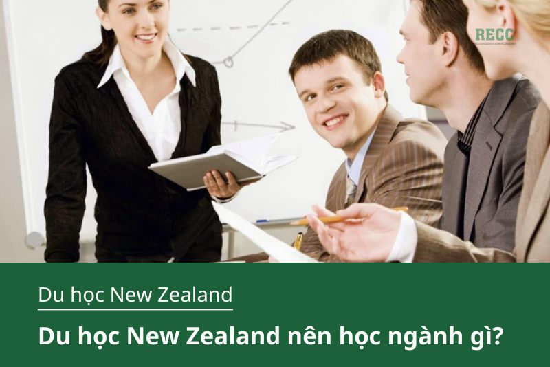 ngành học ở newzealand 1