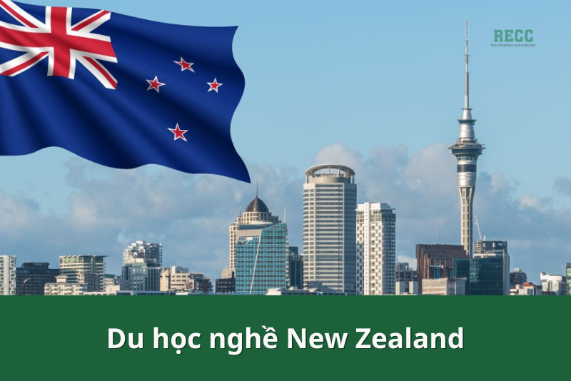 Chi phí du học nghề tại New Zealand 1
